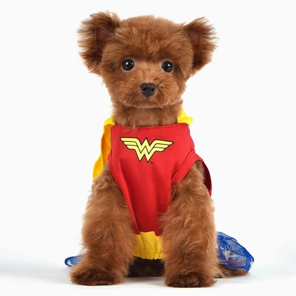 DC COMICS Wonder Women Costume Medium - Picture 2 of 6